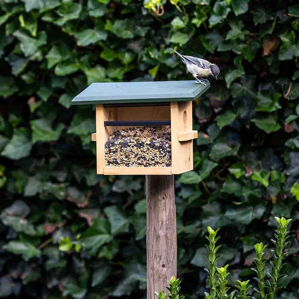 Wandvoederhuis Tilburg – Compact vogelvoederhuis voor kleine tuinvogels