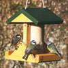 Birdhouse Peanut Cake Alpine