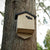 CJ Bat Box Arundel