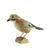 DecoBird - Flemish Jay