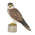 DecoBird - Merlin
