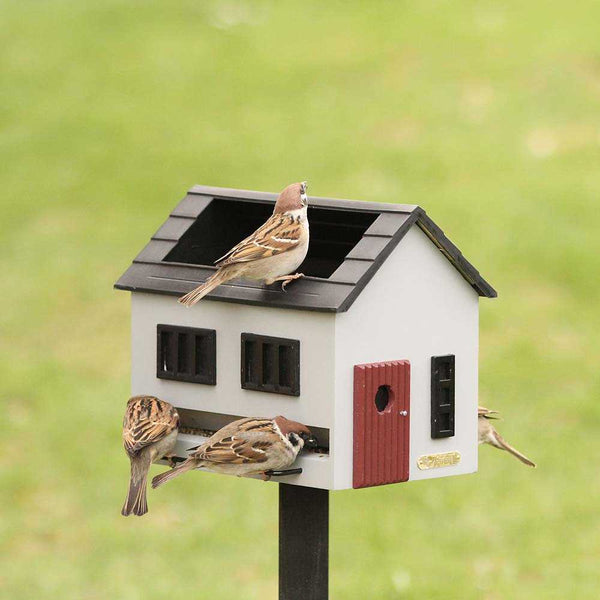 Wildlife Garden - Vogelhäuschen mit Badewanne, grau