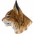 Magnet - Eurasischer Luchs