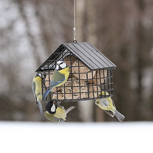 Wildlife Garden - Black Bird Feeder for Fat Balls