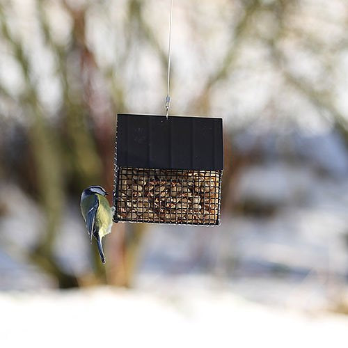 Wildlife Garden - Black Peanut Feeder