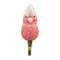 Wildlife Garden - Kledinghaak Galah