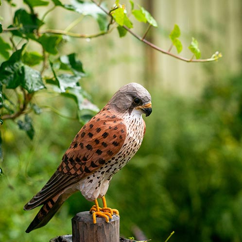 DecoBird - Torenvalk