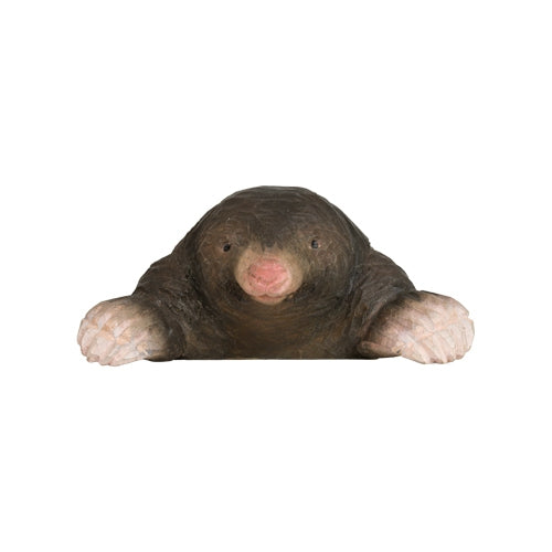 DecoBird - European Mole