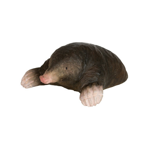 DecoBird - European Mole