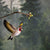 DecoBird fliegender Putter