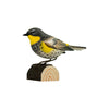 DecoBird Yellow-rumped Warbler