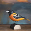 DecoBird Baltimore Golden Oriole