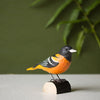 DecoBird Baltimore Golden Oriole