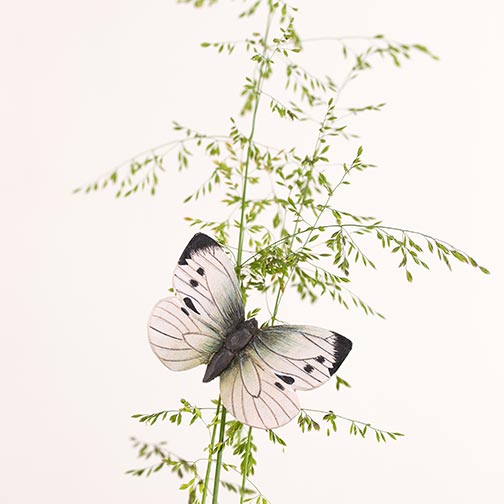 Magnet Butterfly Large White