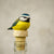 Bottle stopper Blue tit