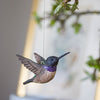 DecoBird Black-chinned Hummingbird