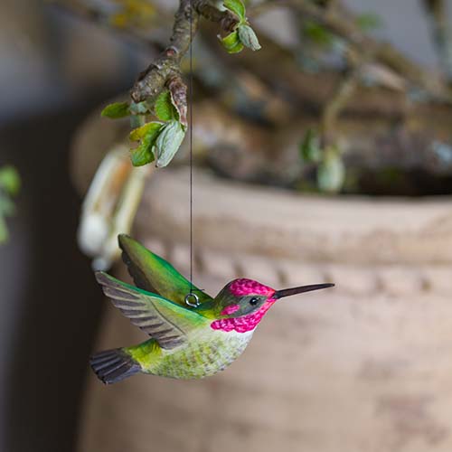 DecoBird Anna's Hummingbird