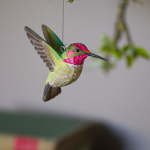 DecoBird Annakolibri