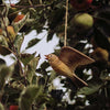 DecoBird - Fliegende Feldlerche