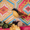 DecoBird - Common Masked Warbler