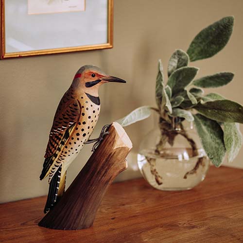 DecoBird - Golden Ground Woodpecker