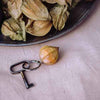 Keychain Physalis