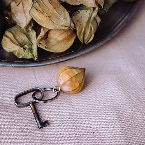 Keychain Physalis
