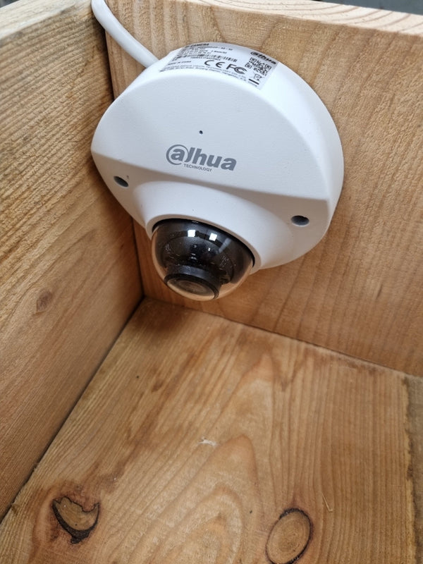 CaptureWILD - Little Owl