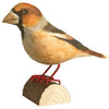 DecoBird - Hawfinch