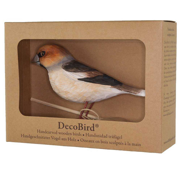 DecoBird - Hawfinch