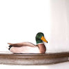 DecoBird - Mallard