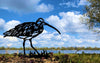 Birdwise - Curlew