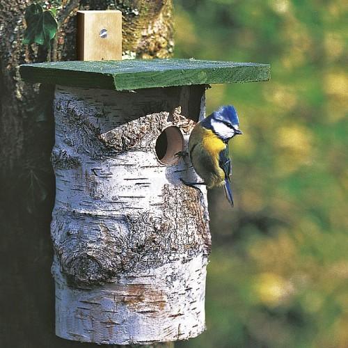 Koolmees berken nestkast