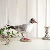 DecoBird - Black-headed Gull