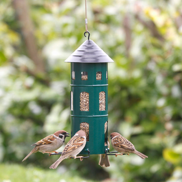 Kombi-Futtersilo Saatgut grün