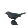 Statuette d'oiseau en fonte Merle - Décoration de jardin et maison | Wildlife Garden