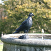 Wildlife Garden - Cast Iron Sculpture Pigeon
