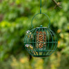 Bird Protection - London Peanut Silo