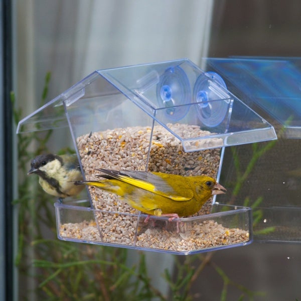 Raamvoederhuis Kreta – transparant raamvoederhuis met 2 zuignappen (polycarbonaat, 24×10,5×15 cm) – CJ Wildlife