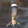 Seed silo Adventurer 40cm 
