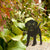 Silhouet staande puppie
