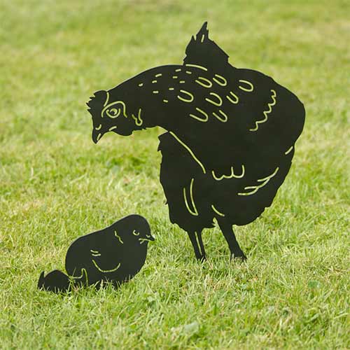 Silhouette Hen