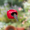 Birdhouse Apple - red