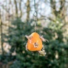 Fiësta Nester Oranje