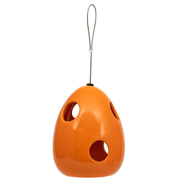 Fiësta Nester Oranje