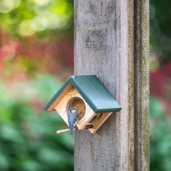 Cork Peanut Butter Jar Holder with Weight System - Wall Model