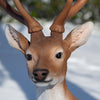 Standing sika deer L