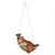 Squirrel in hammock