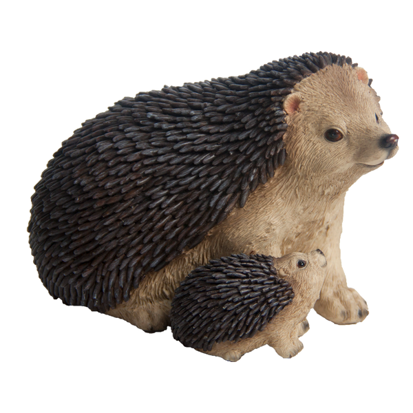Hedgehog with young