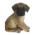 Sitzender Deutsche Doggenwelpe